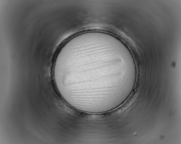 X0000099481166200805301612
