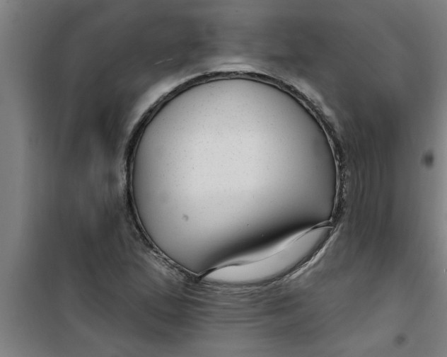 X0000099481167200805301612