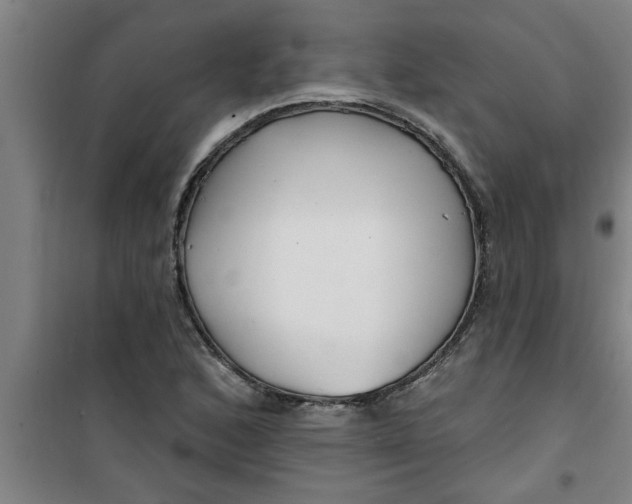X0000099481168200805301612