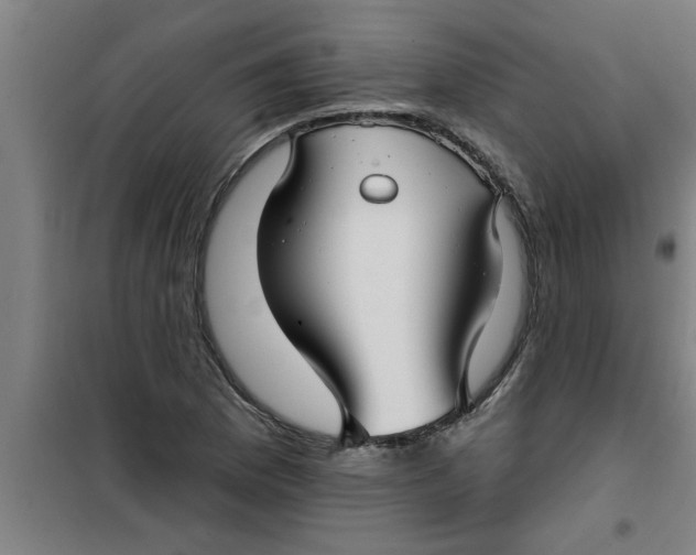 X0000099481169200805301612