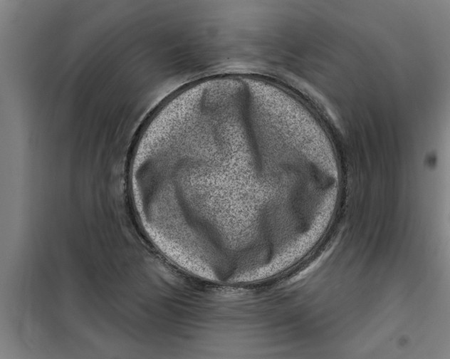X0000099481170200805301612