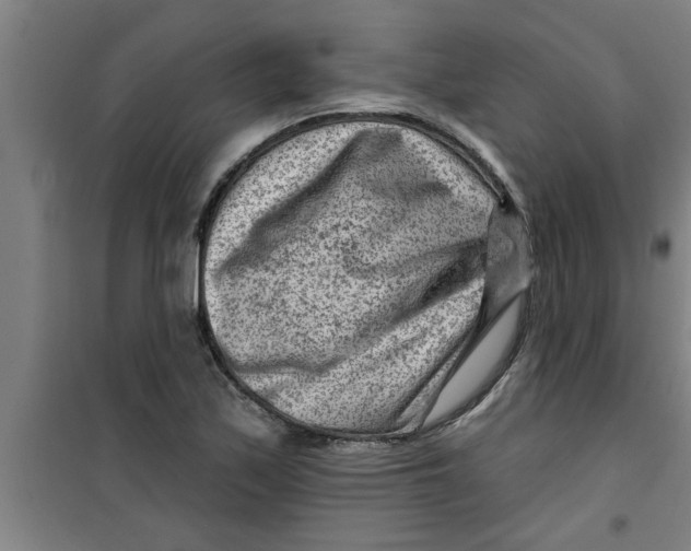 X0000099481171200805301612