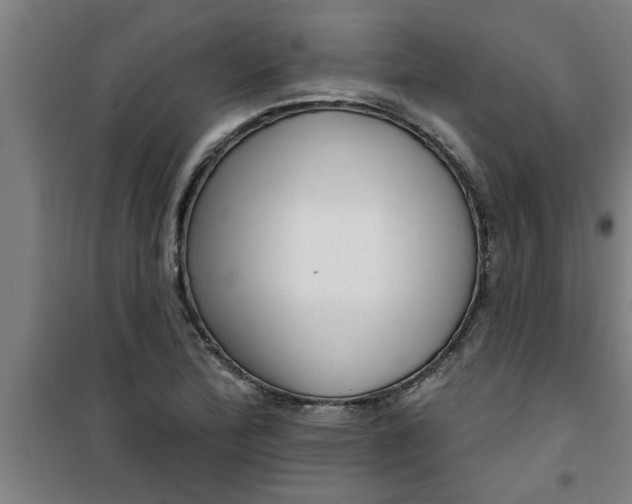 X0000099481172200805301612