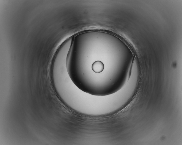 X0000099481173200805301612