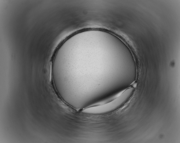 X0000099481175200805301612