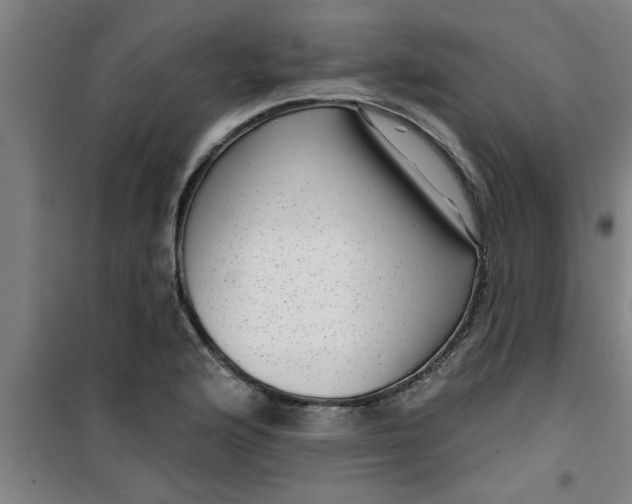 X0000099481176200805301612