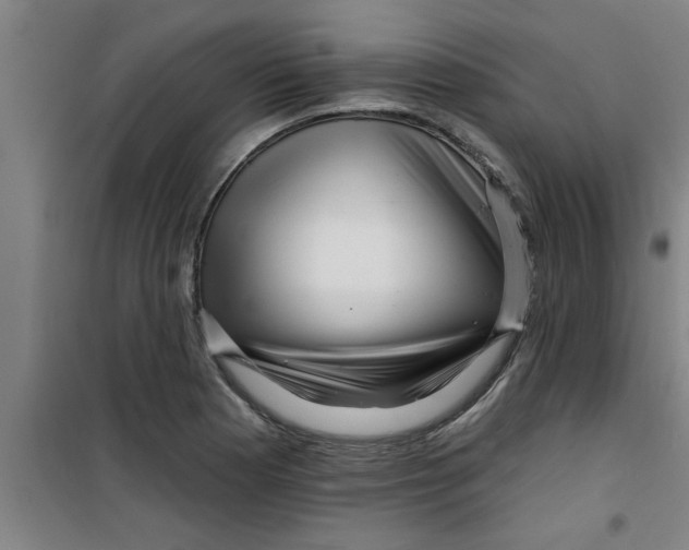 X0000099481177200805301612