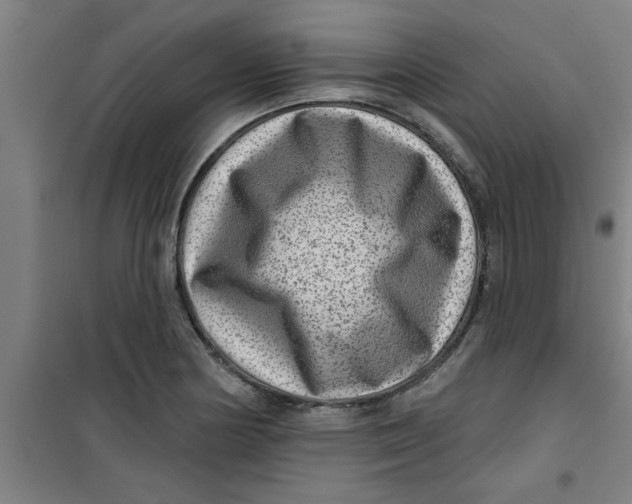 X0000099481178200805301612