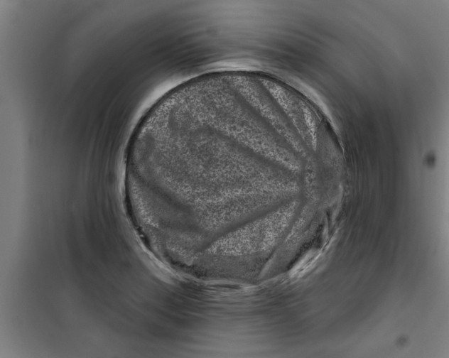 X0000099481179200805301612