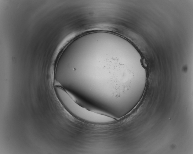 X0000099481180200805301612