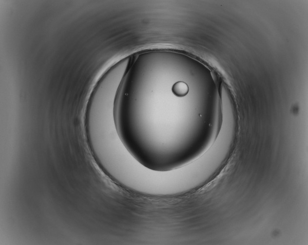 X0000099481181200805301612