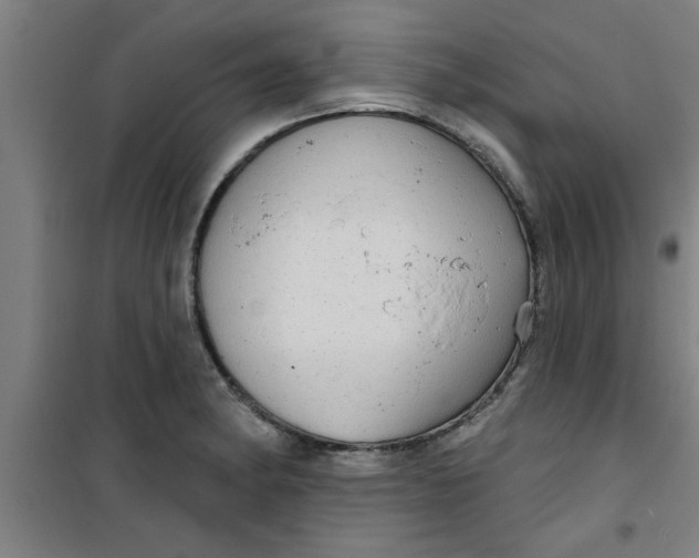 X0000099481182200805301612