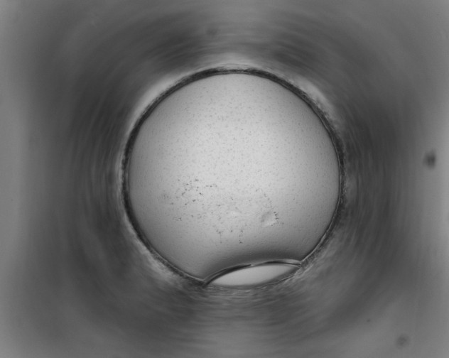 X0000099481183200805301612