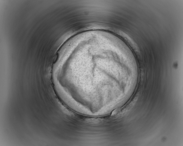 X0000099481185200805301612