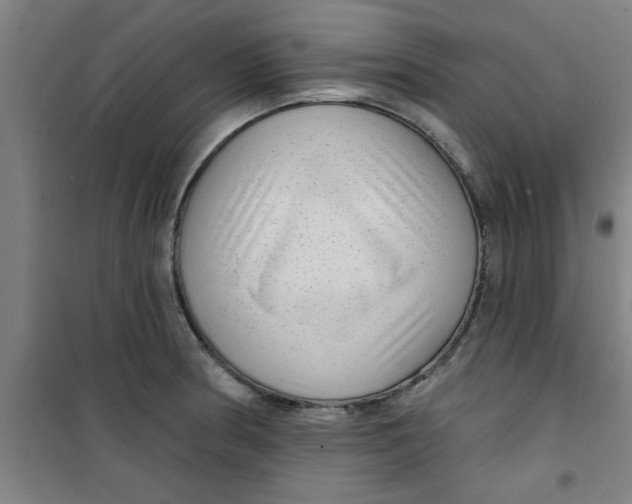 X0000099481186200805301612