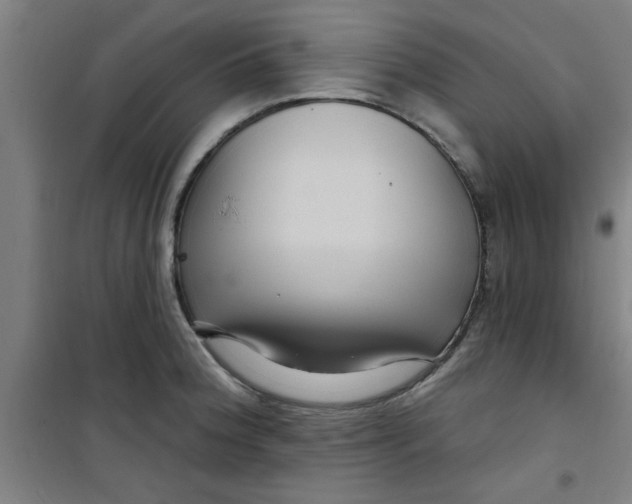 X0000099481188200805301612