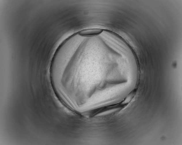 X0000099481189200805301612