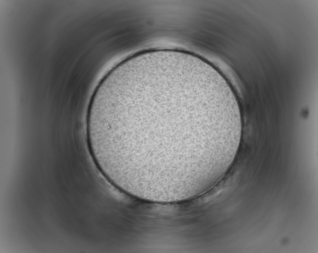 X0000099481191200805301612