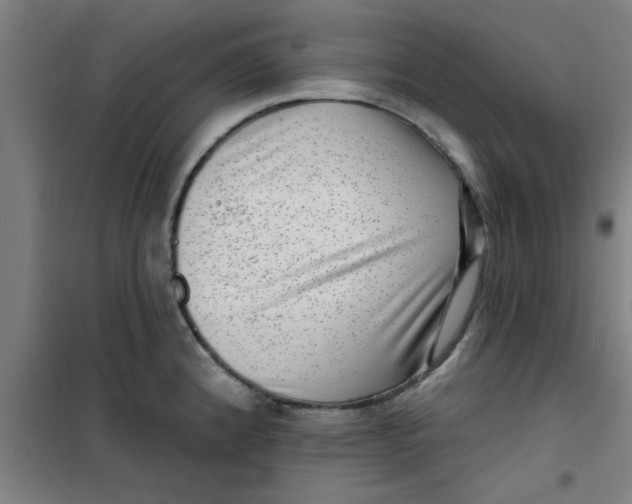 X0000099481192200805301612