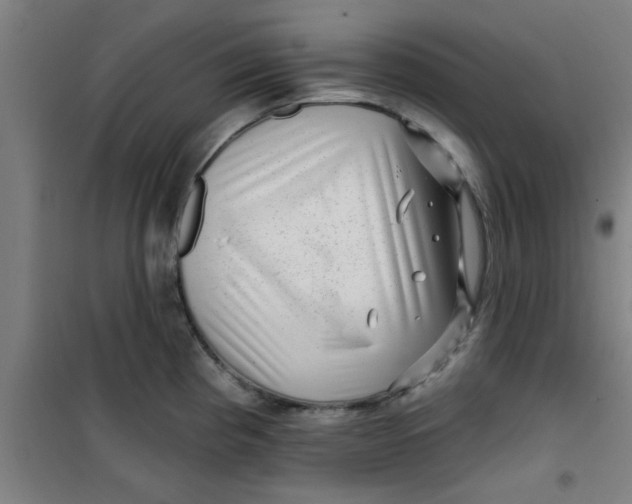 X0000099481193200805301612