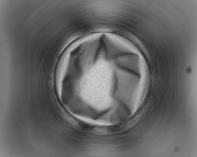 X0000099481194200805301612