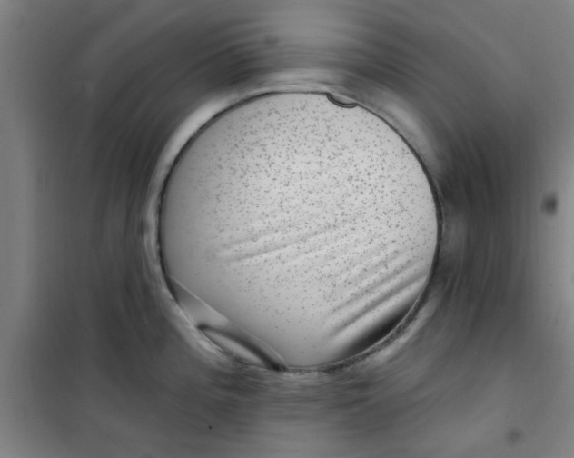 X0000099481196200805301612