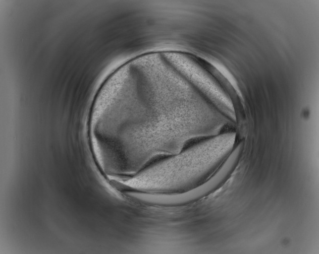 X0000099481197200805301612