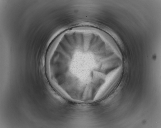 X0000099481198200805301612