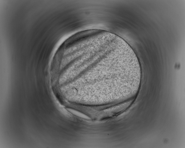 X0000099481200200805301612