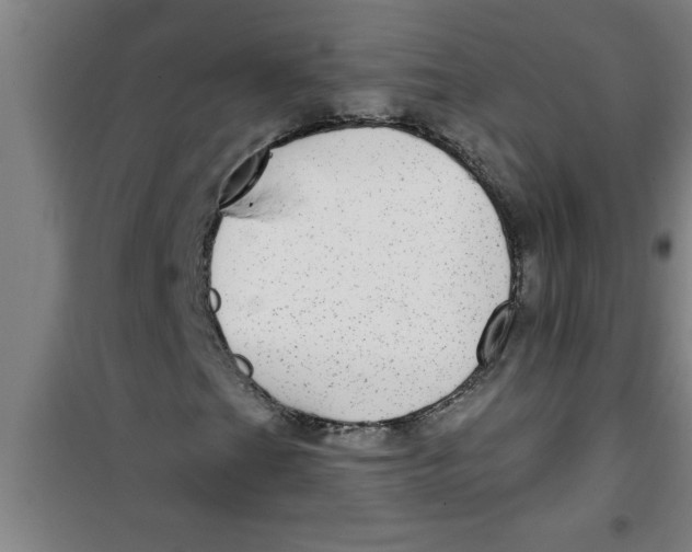 X0000099481201200805301611