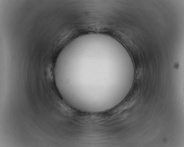 X0000099481202200805301611