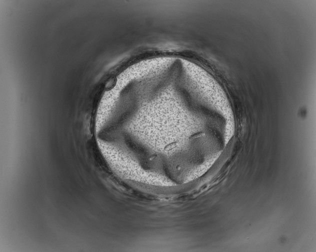 X0000099481205200805301611