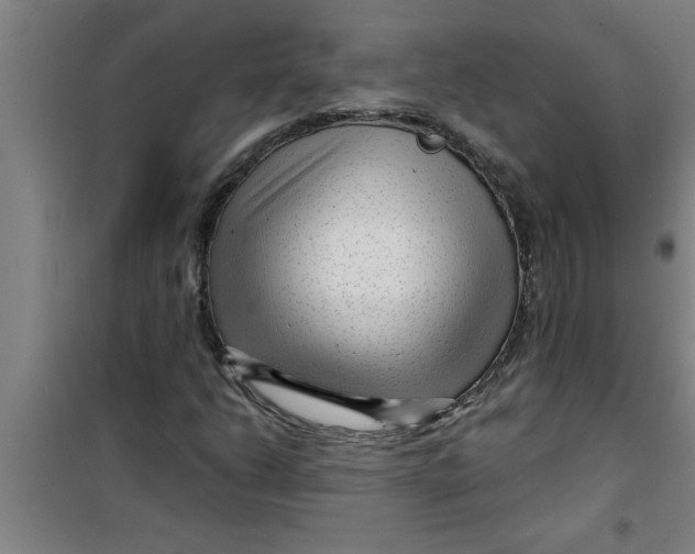 X0000099481206200805301611