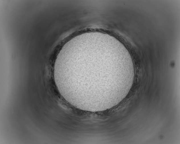 X0000099481207200805301611