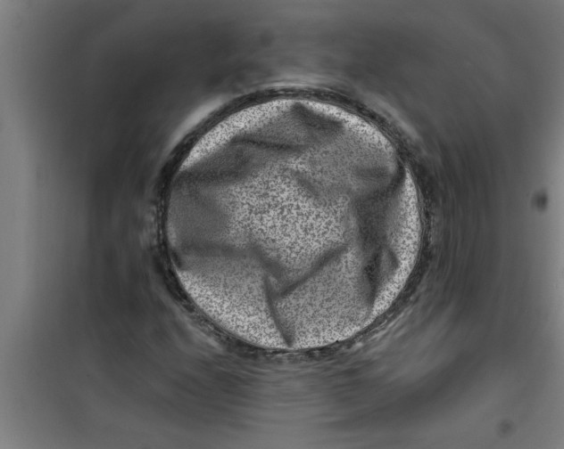 X0000099481208200805301611