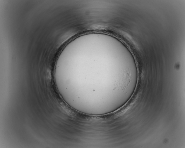 X0000099481209200805301611