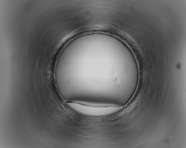 X0000099481210200805301611