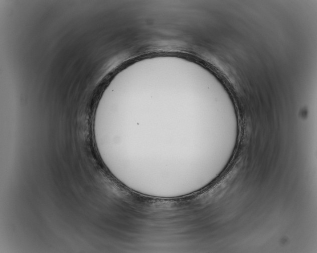 X0000099481211200805301611