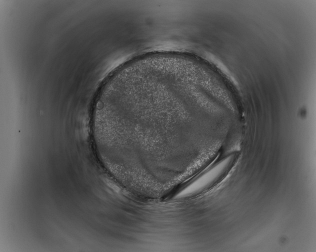 X0000099481213200805301611