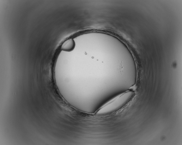 X0000099481214200805301611