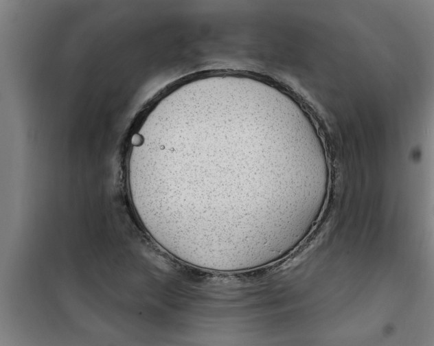 X0000099481215200805301611