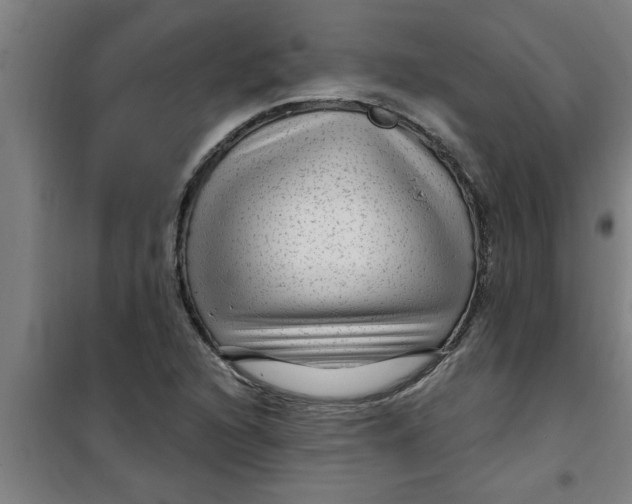 X0000099481216200805301611