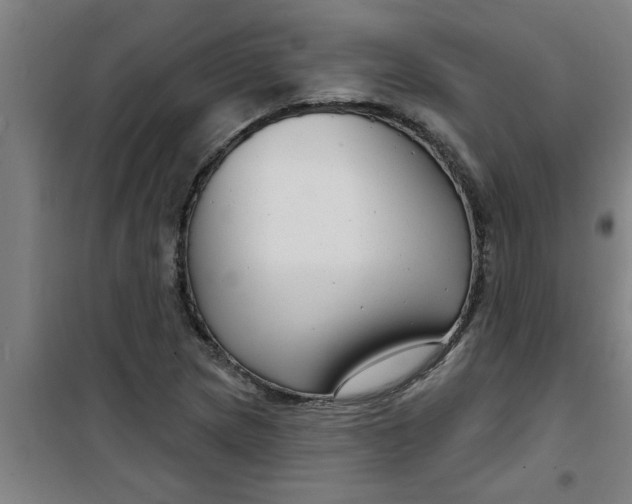 X0000099481217200805301611