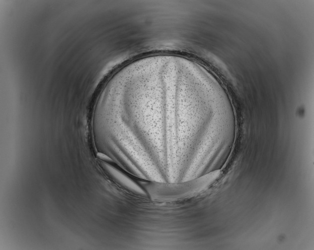 X0000099481218200805301611