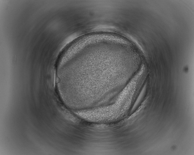 X0000099481219200805301611