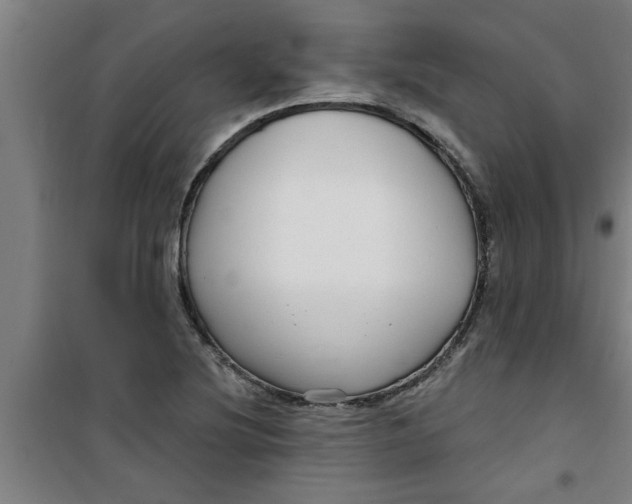 X0000099481220200805301611