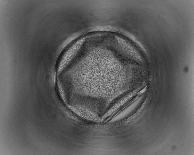 X0000099481221200805301611