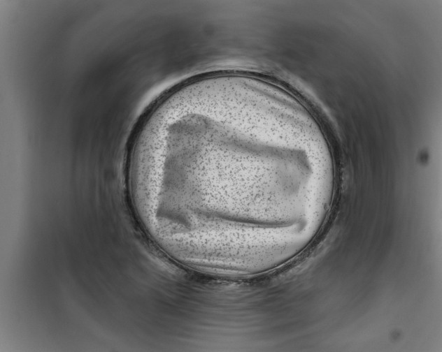 X0000099481222200805301611