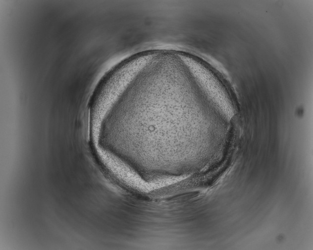X0000099481223200805301611