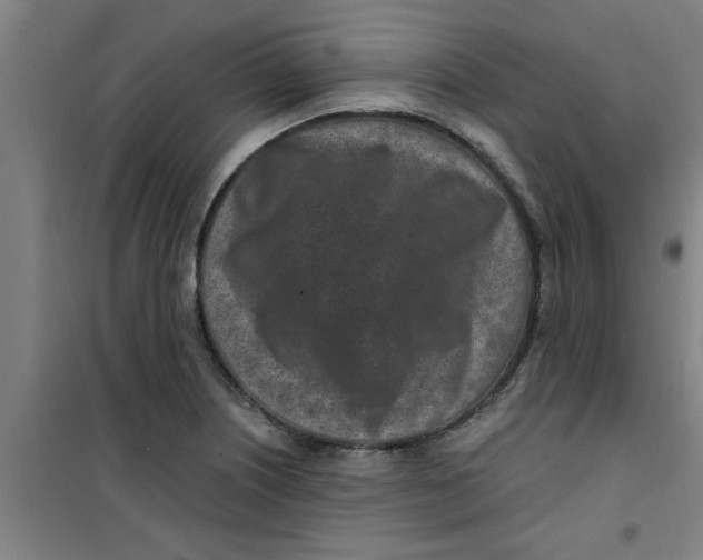 X0000099481226200805301611